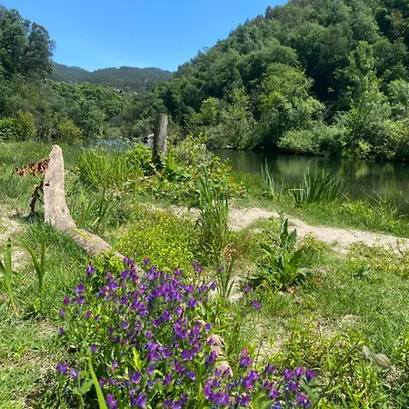 Perfect Getaway In The Heart Of Nature Holiday home Lordelo (Braga)