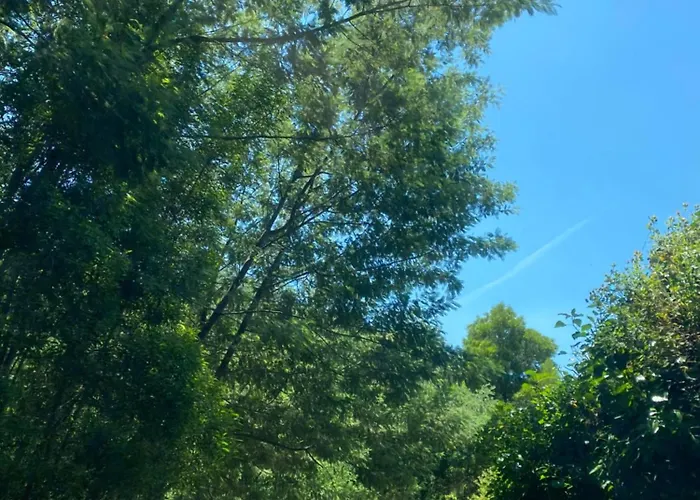 Nyaraló Mirante Canto Aguas Hidden Nature Escape Near Geres